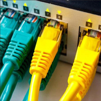 鸿达网络科技 引领数字化时代的网络先锋